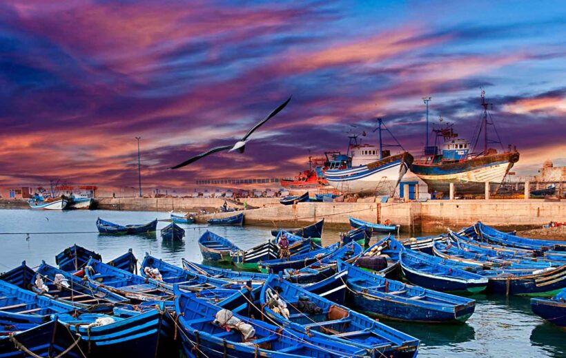 Essaouira Day Trip: Agadir to Morocco’s Bohemian Coastal Paradise