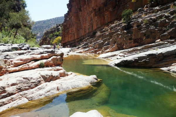 Paradise Valley Escape: Agadir’s Natural Oasis Adventure