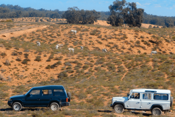Agadir Desert Safari & National Park Expedition