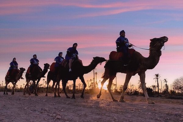 Sunset Camel Ride in Agadir